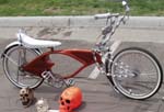 Radical Custom Bike