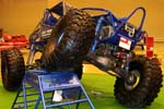 All Terrain Dune Buggy 4x4