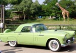 56 Thunderbird Coupe